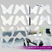 16 Papillons Miroir