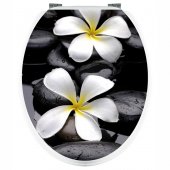 Stickers Fleur sur Galet