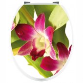Stickers Orchid�e
