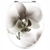 Stickers Orchid�e