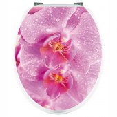 Stickers Orchid�e