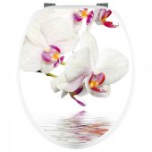 Stickers Orchid�e Blanche