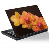 Stickers Orchid�e Jaune