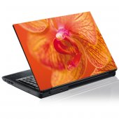 Stickers Orchid�e Orange