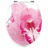 Stickers Orchid�e Rose