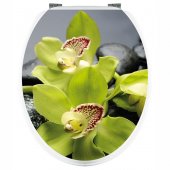 Stickers Orchid�e Verte