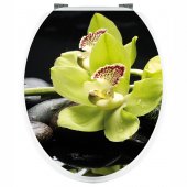 Stickers Orchid�e verte