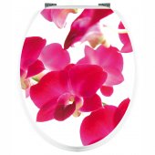 Stickers Orchid�es