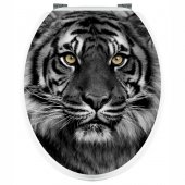 Stickers Tigre