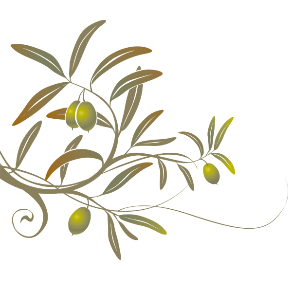 olive tree clip art images - photo #25