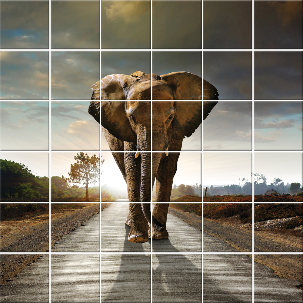 Stickers carrelage éléphant pas cher