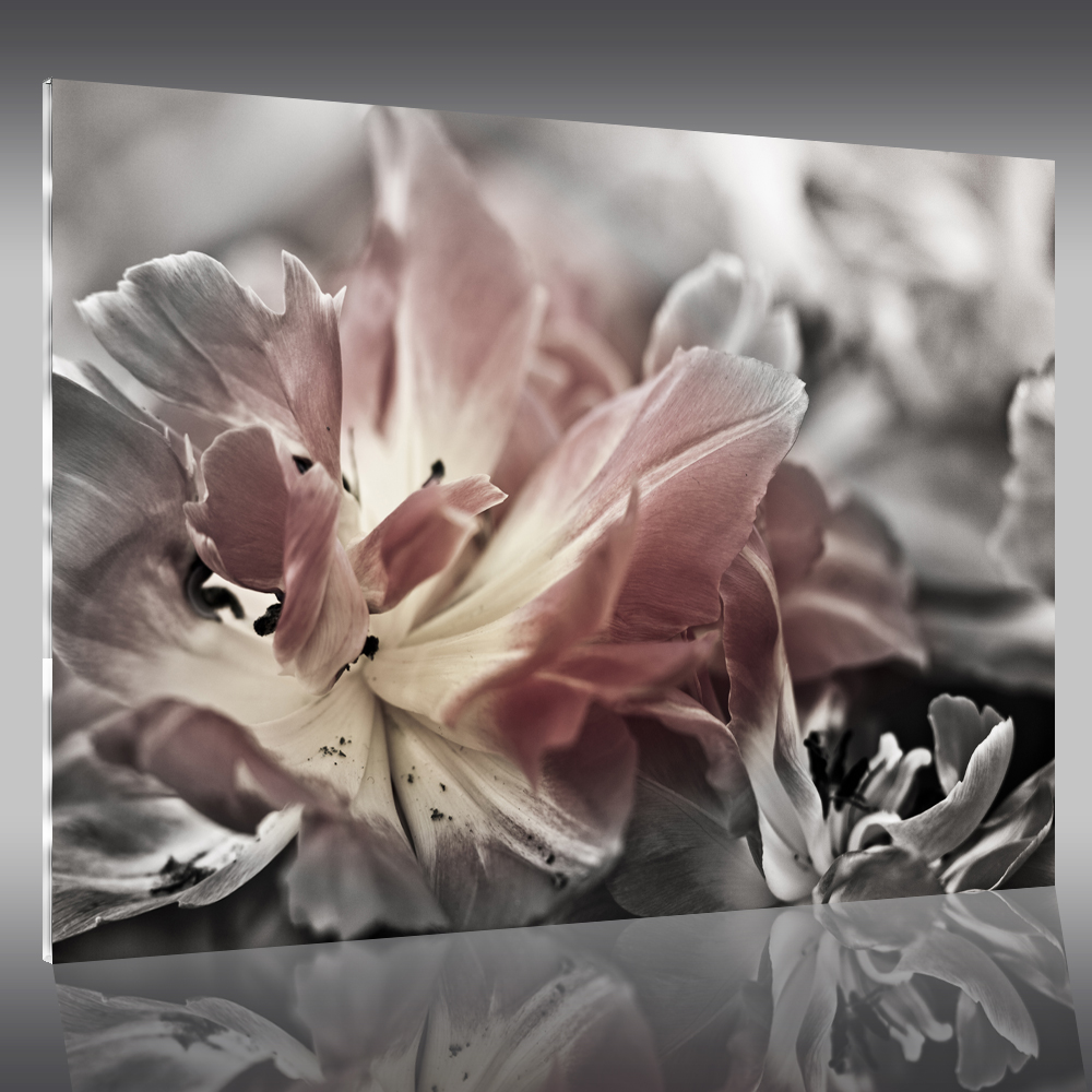 Tableau plexi fleur pas cher