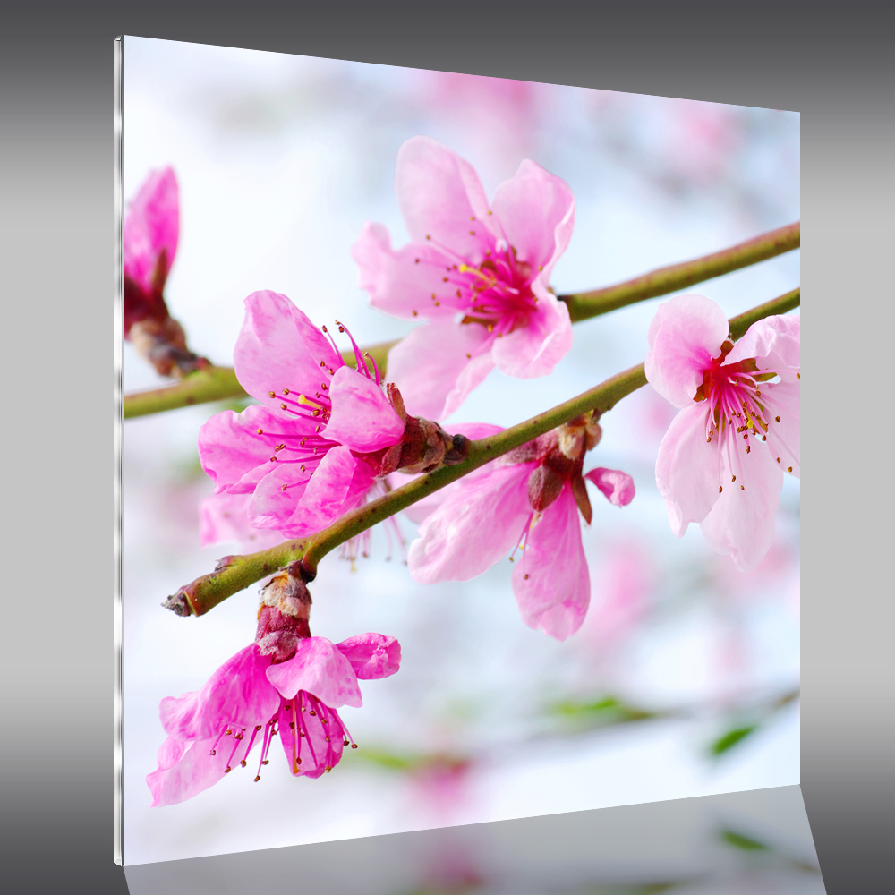 Tableau plexi fleurs pas cher
