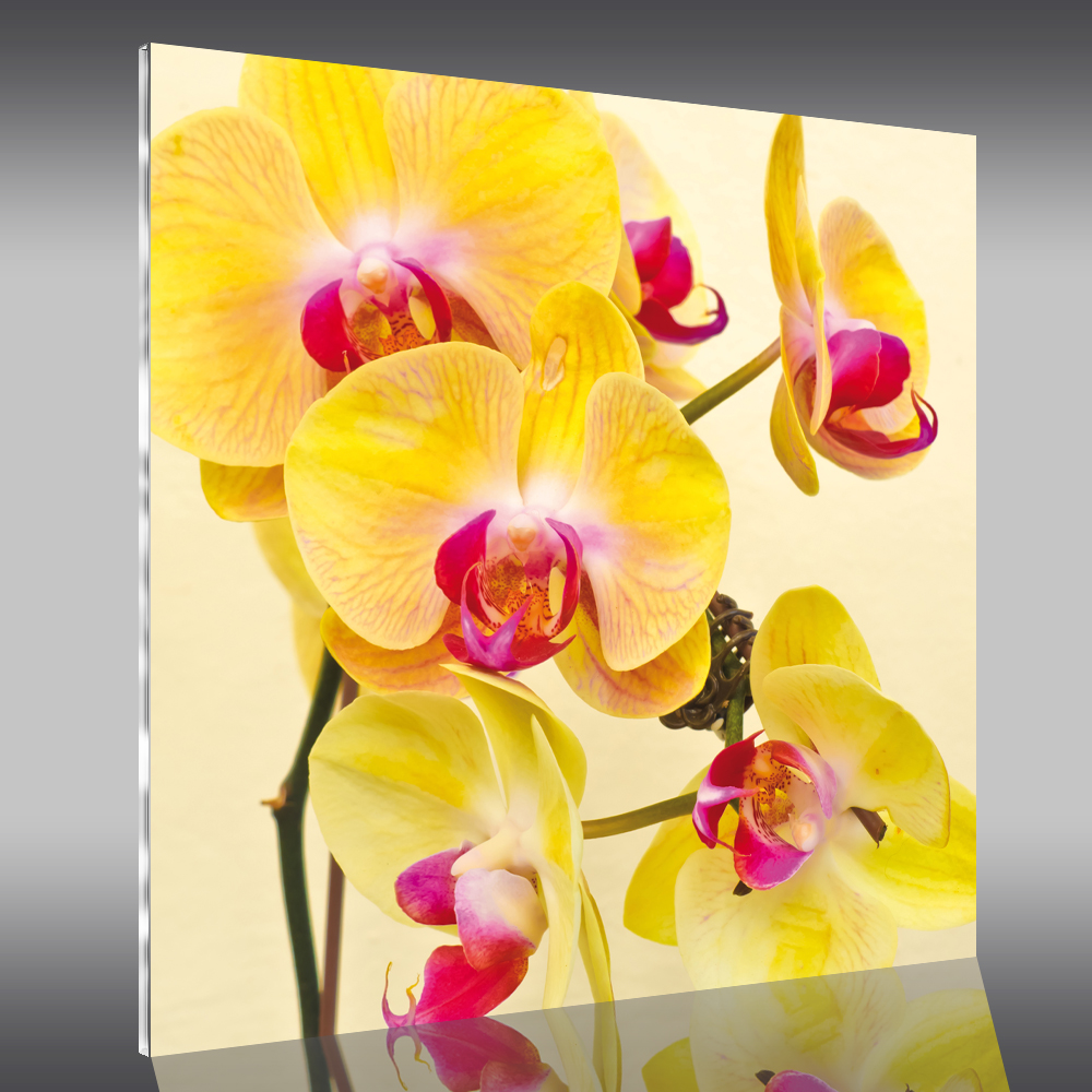 Tableau plexi orchidée pas cher