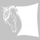 Stickers velleda cheval