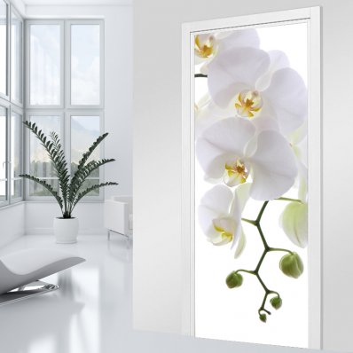 Autocolante para porta orquídea
