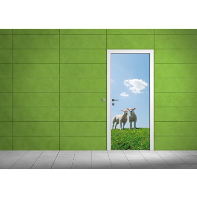 Autocolante para porta ovelha