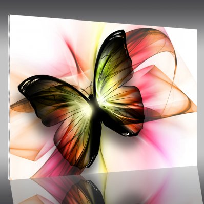 Butterfly - Acrylic Prints