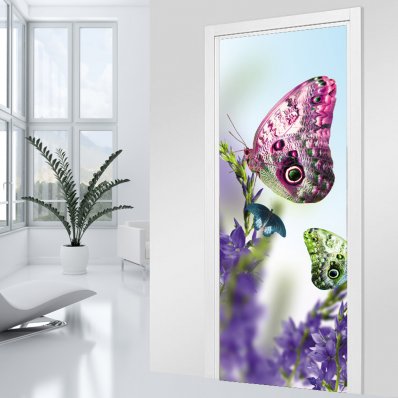 Butterfly Door Stickers