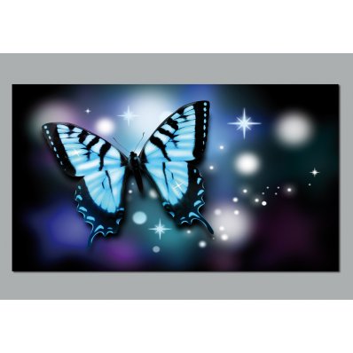 Butterfly Wall Posters