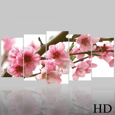 Flower - Triptych Forex Print