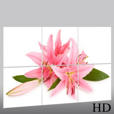 Flower - Triptych Forex Print