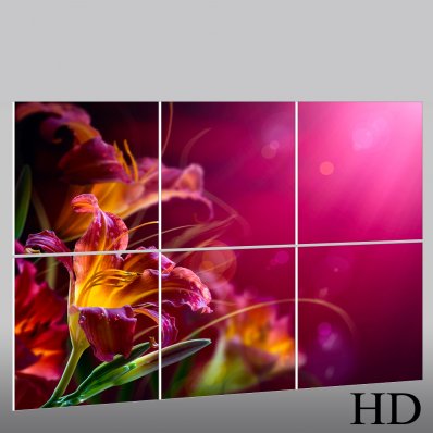 Flower - Triptych Forex Print