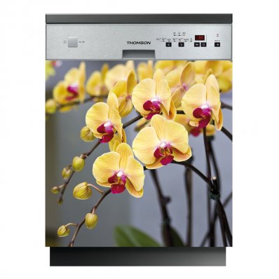 Flowers - Dishwasher Cover Panels