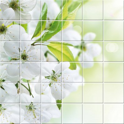 Flowers - Tiles Wall Stickers