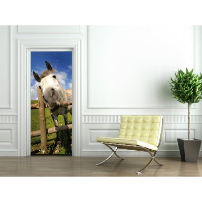 Horse Door Stickers