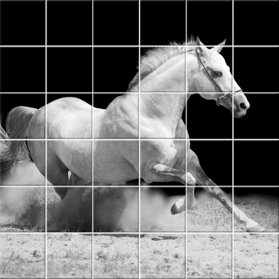 Horse - Tiles Wall Stickers