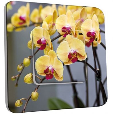 Interrupteur Décoré Poussoir Orchidée jaune 