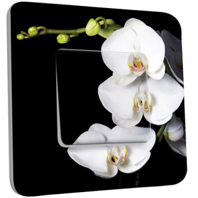 Interrupteur Décoré Poussoir Orchidées Fond Noir