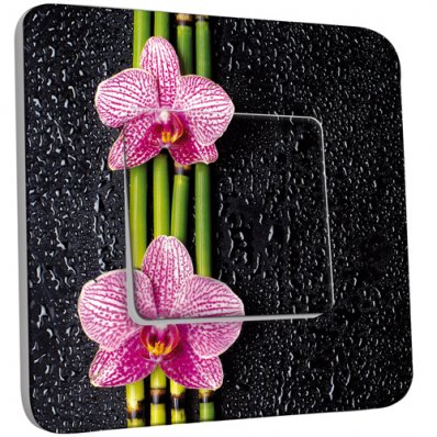Interrupteur Décoré Simple Bambou orchidée 