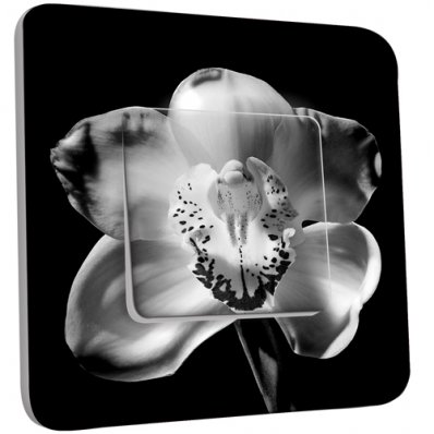 Interrupteur Décoré Simple Fleurs Black&White