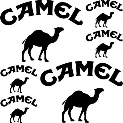 Kit stickers camel