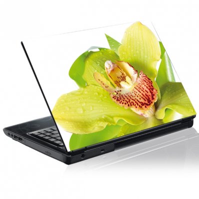 Laptop-Aufkleber Orchidee