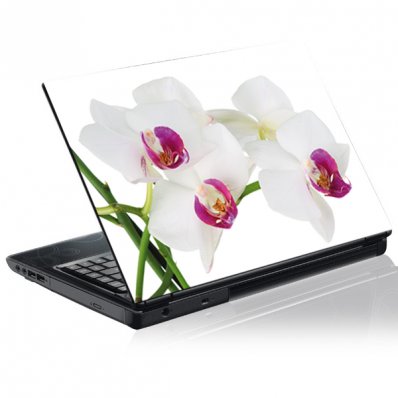 Laptop-Aufkleber Orchidee