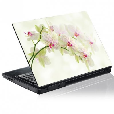 Laptop-Aufkleber Orchidee