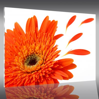 Obraz Plexiglas - Kwiaty