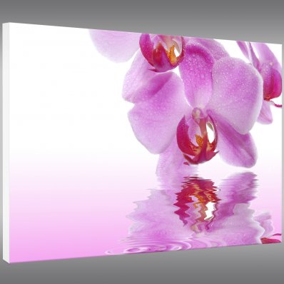 Orchid - Forex Print