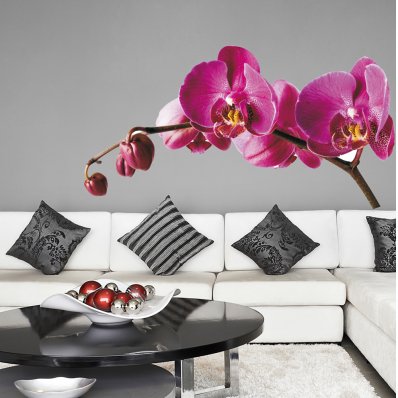 Orchid Wall Stickers