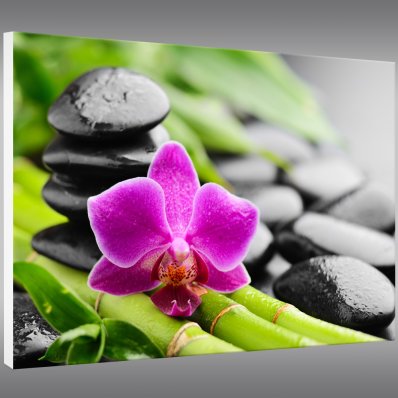 Quadro Forex orchidea