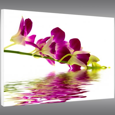 Quadro PVC Forex flores