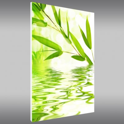 Quadro PVC Forex Zen