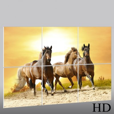 Quadro Triptico PVC cavalos