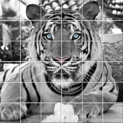 Sticker pentru faianta Tigru