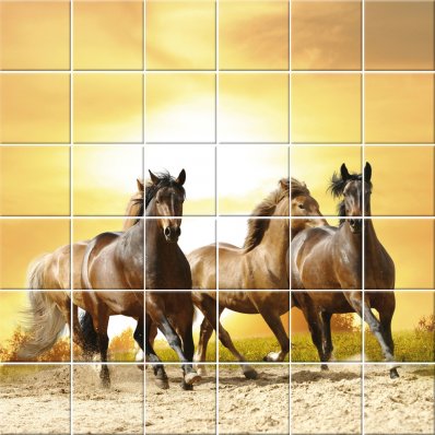 Stickers carrelage cheval