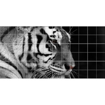 Stickers carrelage tigre