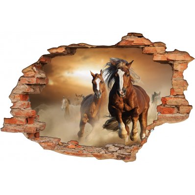 Stickers Trompe l'oeil 3D Chevaux